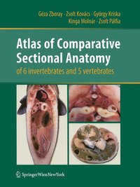 bokomslag Atlas of Comparative Sectional Anatomy of 6 invertebrates and 5 vertebrates