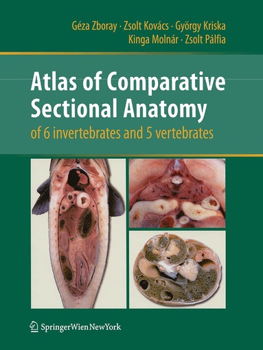 Géza Zboray, Zsolt Kovács, György Kriska, Kinga Molnár, Zsolt Pálfia - Atlas of Comparative Sectional Anatomy of 6 invertebrates and 5 vertebrates, Häftad