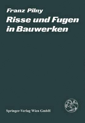 bokomslag Risse und Fugen in Bauwerken