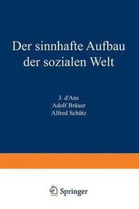 bokomslag Der sinnhafte Aufbau der sozialen Welt