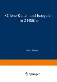bokomslag Synthese der Kohlenstoffverbindungen
