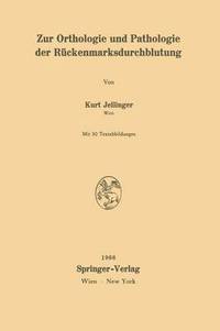 bokomslag Zur Orthologie und Pathologie der Rückenmarksdurchblutung