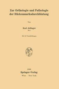 bokomslag Zur Orthologie und Pathologie der Ruckenmarksdurchblutung