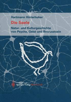 Hartmann Hinterhuber - Die Seele, Häftad