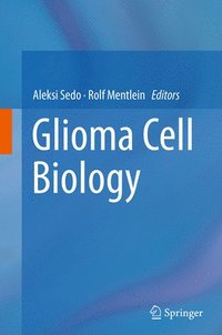 bokomslag Glioma Cell Biology