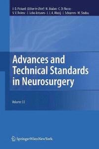 bokomslag Advances and Technical Standards in Neurosurgery, Vol. 33