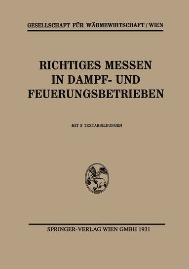 bokomslag Richtiges Messen in Dampf- und Feuerungsbetrieben