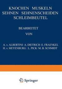 bokomslag Knochen · Muskeln Sehnen · Sehnenscheiden Schleimbeutel