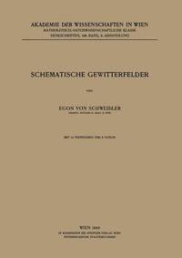 bokomslag Schematische Gewitterfelder