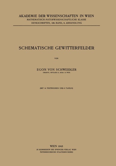 bokomslag Schematische Gewitterfelder