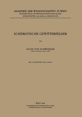 Schematische Gewitterfelder 1