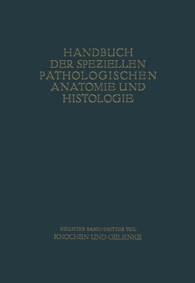 G. Axhausen, E. Bergmann, L. Haslhofer, F.J. Lang, A. Lauche, W. Putschar, M.B. Schmidt - Knochen und Gelenke, Häftad