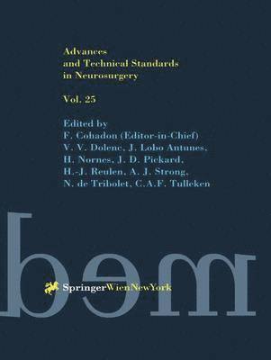Advances and Technical Standards in Neurosurgery