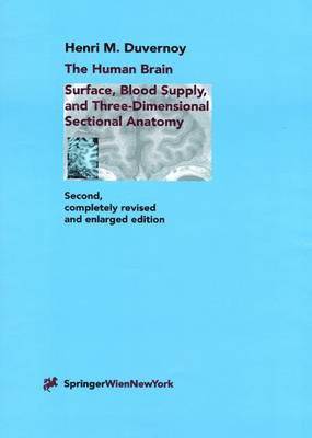 The Human Brain 1