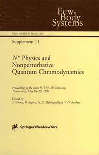 bokomslag N* Physics and Nonperturbative Quantum Chromodynamics
