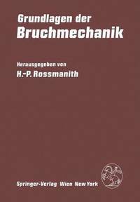 bokomslag Grundlagen der Bruchmechanik