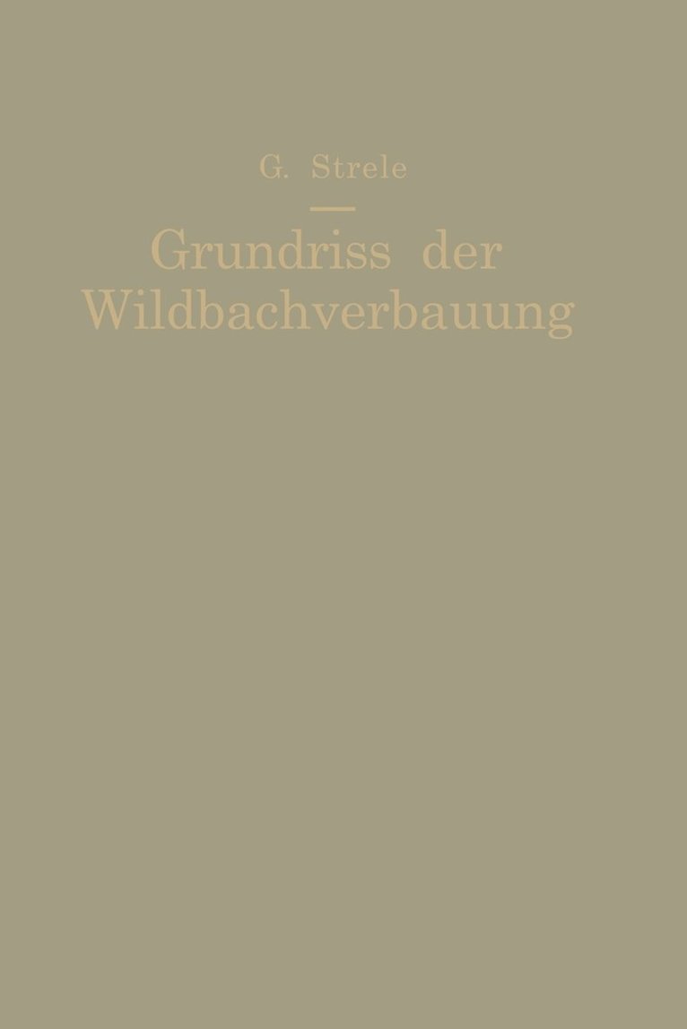 Grundri der Wildbachverbauung 1