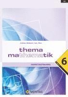 bokomslag Thema Mathematik - Kompetenztraining - 6. Klasse