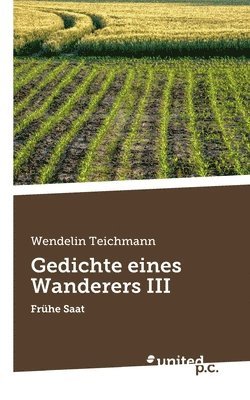 bokomslag Gedichte eines Wanderers III