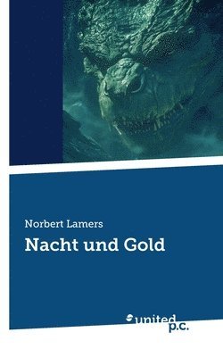 bokomslag Nacht und Gold