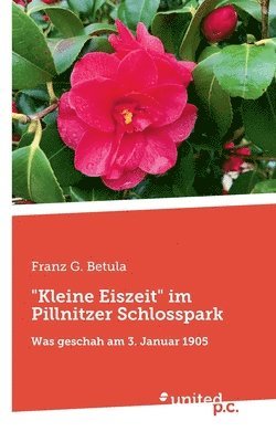 bokomslag "Kleine Eiszeit" im Pillnitzer Schlosspark