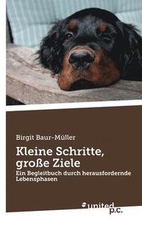 bokomslag Kleine Schritte, groe Ziele