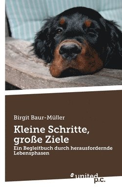 bokomslag Kleine Schritte, große Ziele