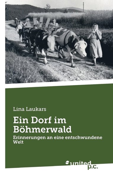 bokomslag Ein Dorf im Bhmerwald