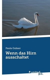 bokomslag Wenn das Hirn ausschaltet