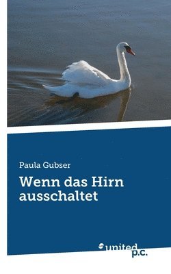bokomslag Wenn das Hirn ausschaltet