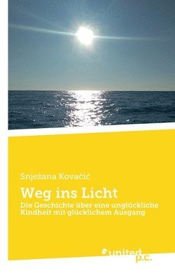 bokomslag Weg ins Licht