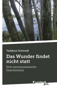 bokomslag Das Wunder findet nicht statt