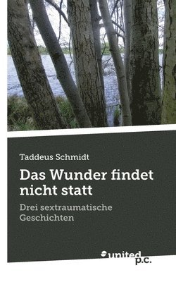 Das Wunder findet nicht statt 1