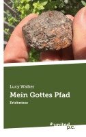 Lucy Walker - Mein Gottes Pfad, Häftad