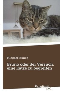 bokomslag Bruno oder der Versuch, eine Katze zu begreifen