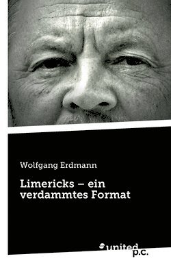 bokomslag Limericks - ein verdammtes Format