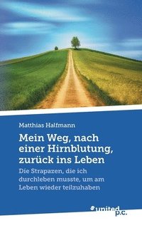 bokomslag Mein Weg, nach einer Hirnblutung, zurück ins Leben
