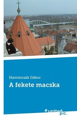 A fekete macska 1