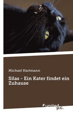 bokomslag Silas - Ein Kater findet ein Zuhause