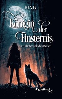 bokomslag Königin der Finsternis