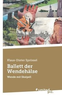 bokomslag Ballett der Wendehalse