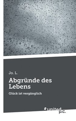 bokomslag Abgründe des Lebens