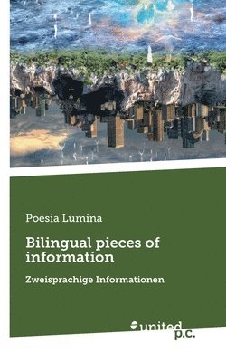 Bilingual pieces of information 1