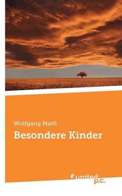 bokomslag Besondere Kinder