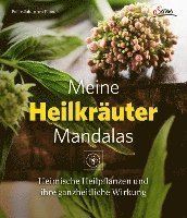 Meine Heilkräutermandalas 1