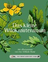 bokomslag Das große kleine Buch: Das kleine Wildkräuteralbum