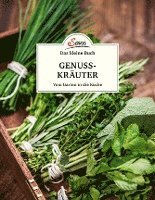 bokomslag Das kleine Buch: Genusskräuter