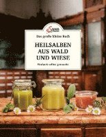 bokomslag Das große kleine Buch: Heilsalben aus Wald und Wiese