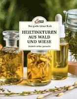 bokomslag Das kleine Buch: Heiltinkturen aus Wald und Wiese