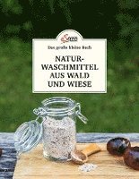 bokomslag Das große kleine Buch: Naturwaschmittel aus Wald und Wiese